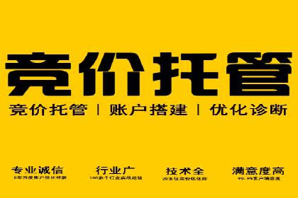深度解析SEM优化：成功企业的广告策略
